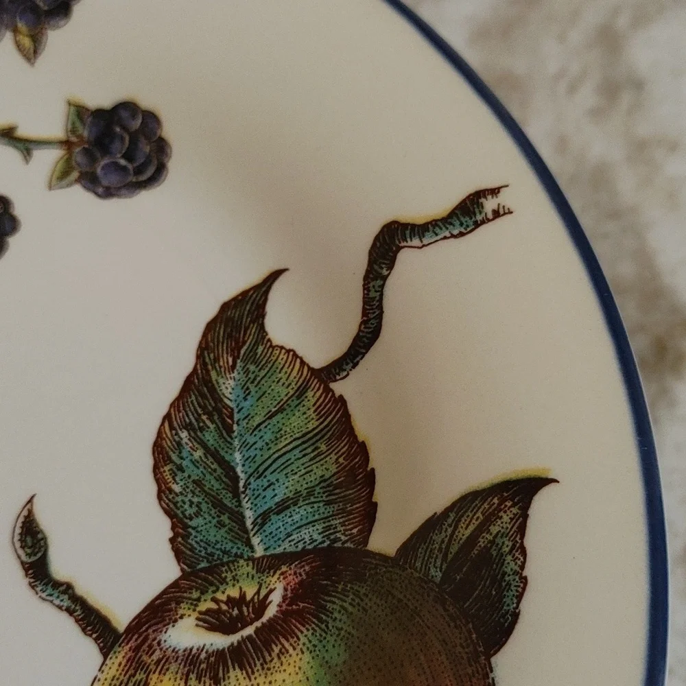 4 Pier 1 MACINTOSH Salad Plates